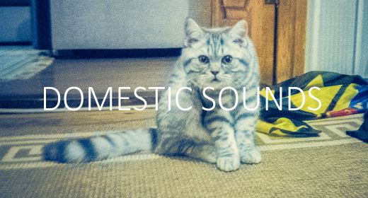 Domestic sounds