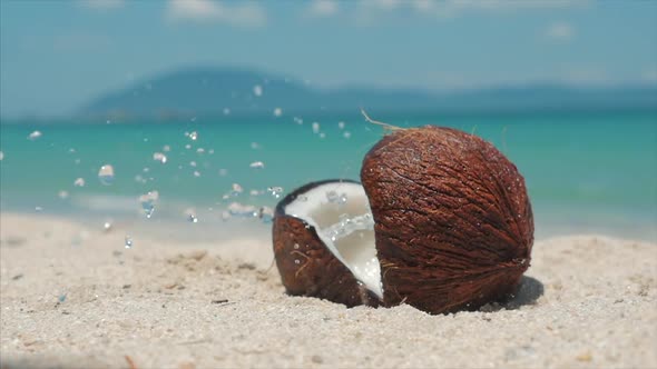 On a Tropical Beach Close-Up Falls From a Palm Tree Coconut, Under the Hot Summer Sun, It Is Divided alt