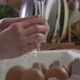 Woman washing chicken eggs under water at kitchen - VideoHive Item for Sale