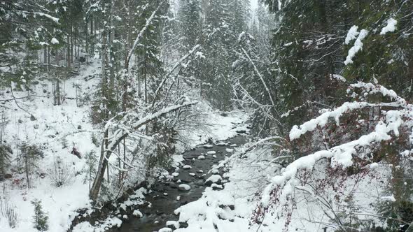 High Jib up over small creek running through snow covered forest alt