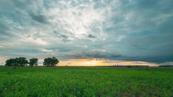 Rain Rainy Clouds Above Countryside Rural Field Landscape With Young Green Wheat Sprouts In Summer alt