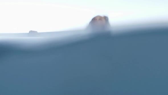 Woman relaxing in swimming pool alt