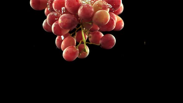 A Sprig of Ripe Grapes Falls Under the Water with Air Bubbles alt