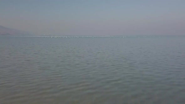 Quick video clip of an aerial view of the Sea of Galilee with a flying flock of seagulls alt
