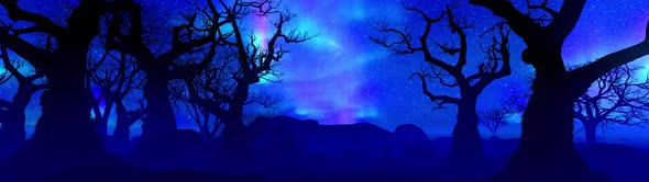Northern lights and mysterious forest. theatrical background