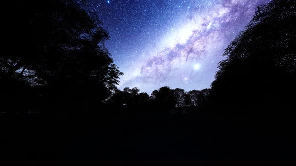 The Milky Way Rises Over Trees On A Foreground