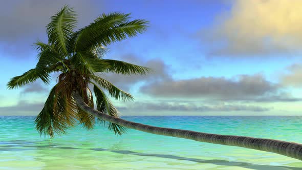 Beautiful tropical landscape palm tree over sea waves and fast clouds.