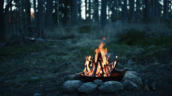 Nigth Campfire