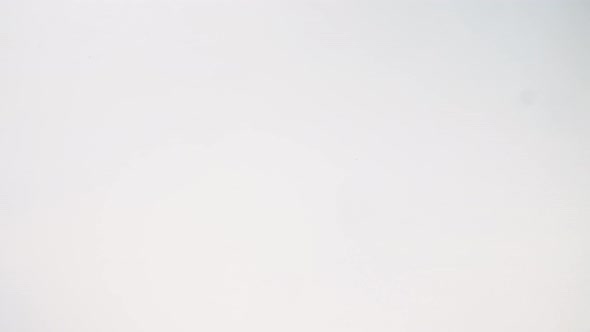 green grasshopper takes flight and jumps alt