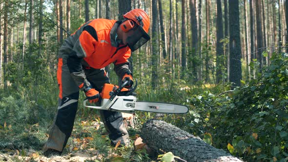 Woodman Is Chopping a Tree with a Chainsaw. Deforestation, Forest Cutting Concept alt