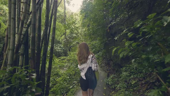 Tourist Woman Walking on Path in Tropical Forest on Green Trees and Plant Background. Back View alt