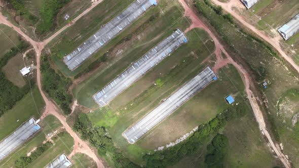 Aerial view of road, breeder farm's house and forest in Alor Gajah, Malacca