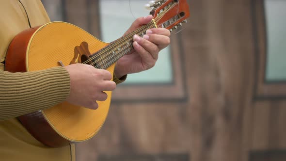 Musician playing a mandolin alt