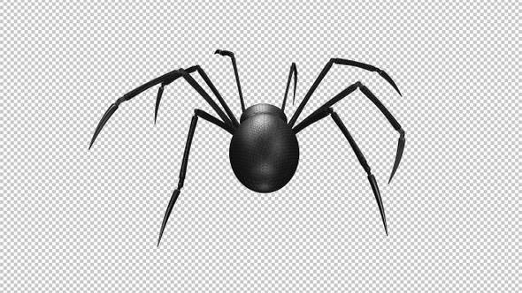 Spider Robot - Crawling Loop - Back View - Alpha Channel alt