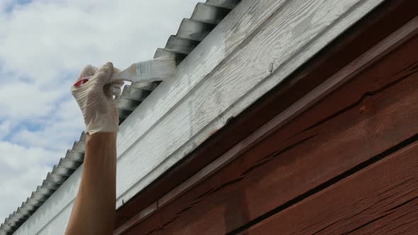 Hand of Young Woman Paints Wooden House. Woman Makes Repairs Home alt