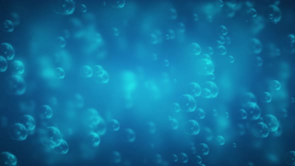 Bubbles Floating On Soft Blue Blurred Background