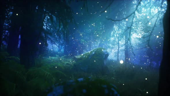 Fantasy Forest at Night HD