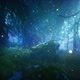 Fantasy Forest at Night HD - VideoHive Item for Sale