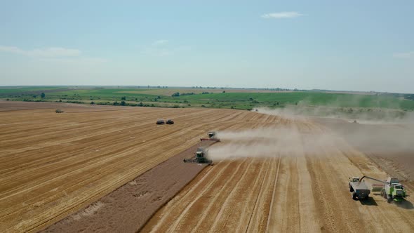 Aerial Drone View Many Harvesting Machine Cutting Down Ripe Wheat Crop Ready To Be Transported and alt