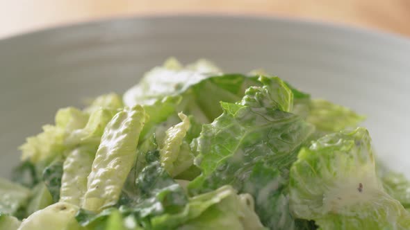 Camera follows putting grilled chicken over salad. Slow Motion. alt