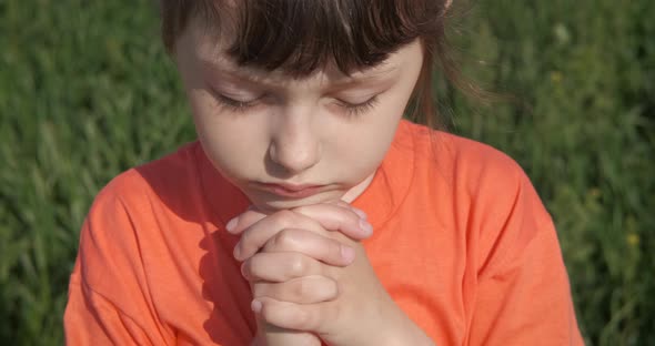 Dream in the Heart of Nature alt