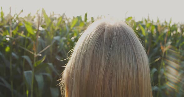 View from behind on blonde woman standing in front of corn field and enjoys the sun alt