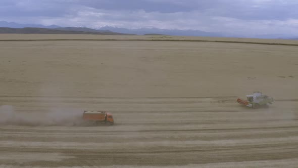 The Machine Is Transporting Wheat alt