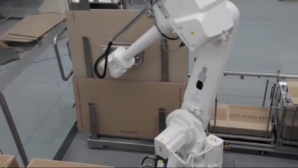 Robotic Case Packer and Palletiser alt