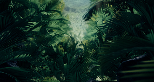 Jungle Palms