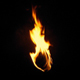 Burning Torch In The Dark - Compositing Element - VideoHive Item for Sale