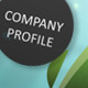 Company Profile - VideoHive Item for Sale