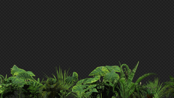 Tropical Foliage Background