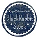 BlackRabbitStock