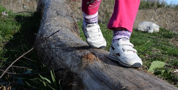 Tree Trunk And Children