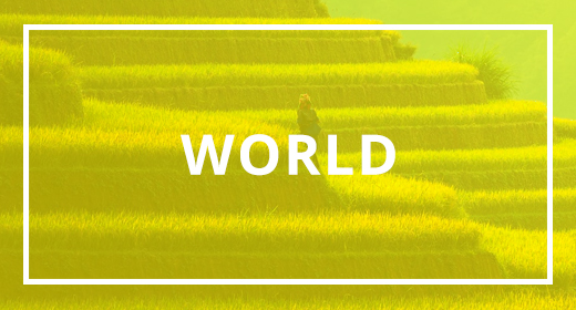 World