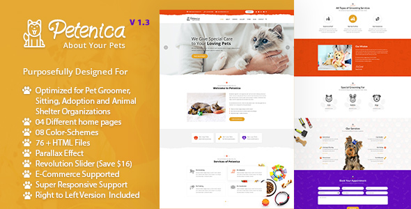pawrex pet sitter groomer