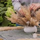 Woman Makes Autumnal DIY Flower Arrangement Using Dried Plants - VideoHive Item for Sale