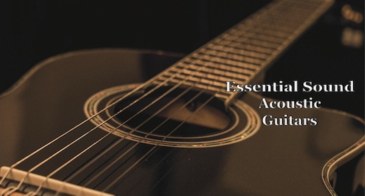 Acoustic Guitars