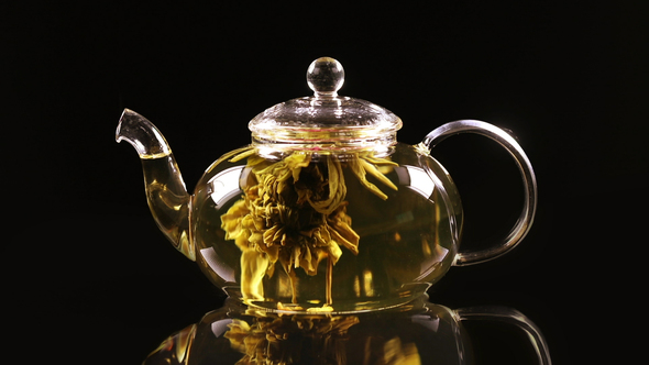 Green Chinese Tea Flower Bud Blooming in Glass Teapot