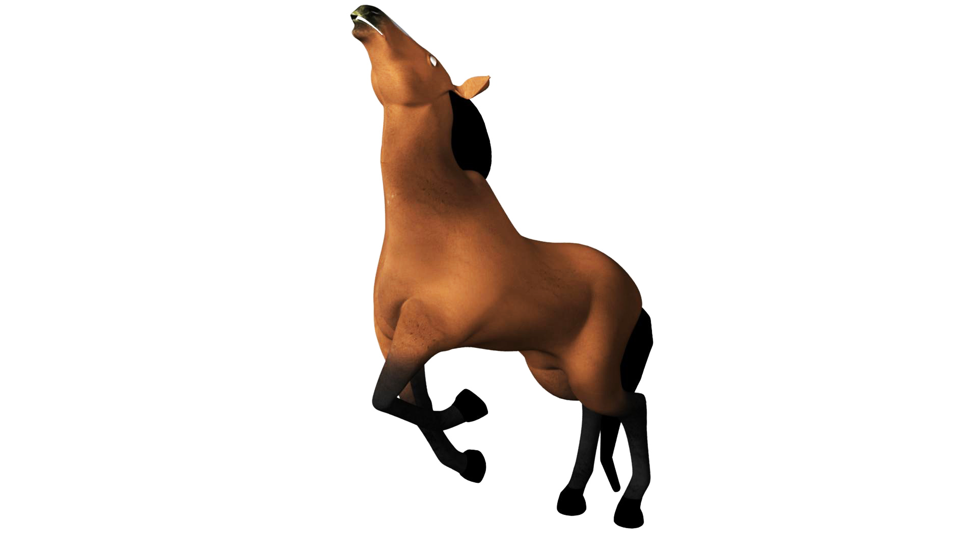 3D Horse Rigged and Animated by Bharticreations | 3DOcean