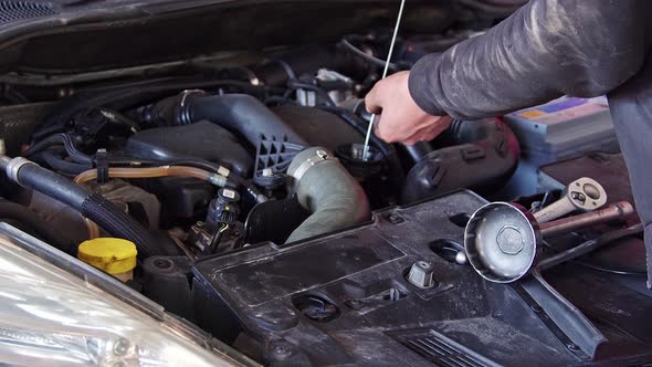 Car Repairman Checking Engine Oil Level In Car alt