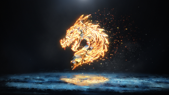Ice And Flame Logo By Ruslan Ivanov Videohive
