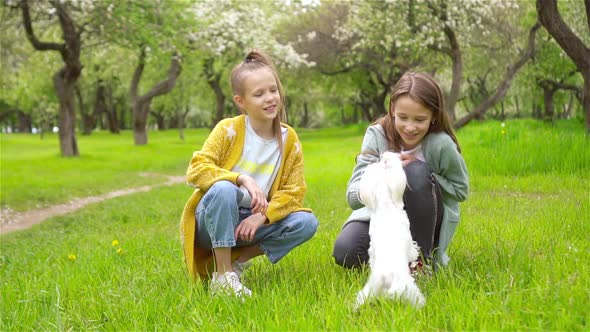 Little Smiling Girls Playing and Hugging Puppy in the Park
