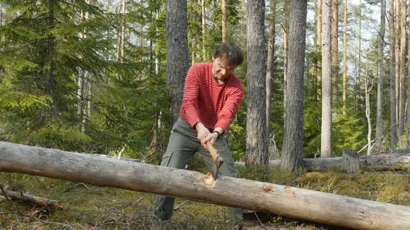 Lumberjack Chopping Wood In The Forest. Male Tourist Chopping Wood With An Axe.