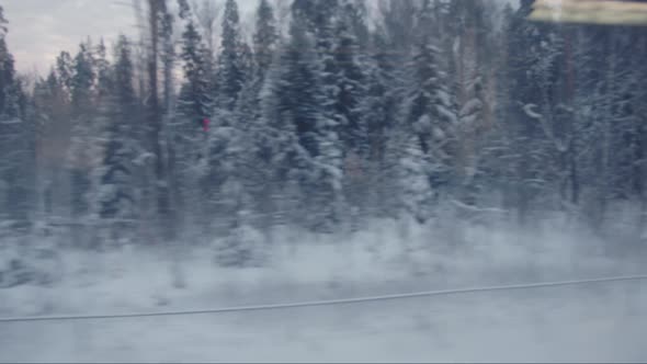 View From the Train Window to the Winter Forest