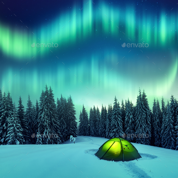 Northern Lights In Winter Forest Stock Photo By Ivankmit Photodune