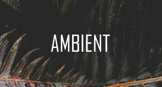 Ambient
