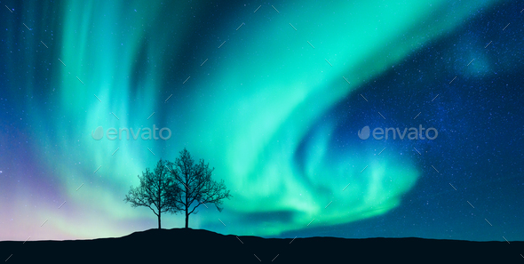 Aurora borealis and silhouette of the trees on the hill - Stock Photo - Images