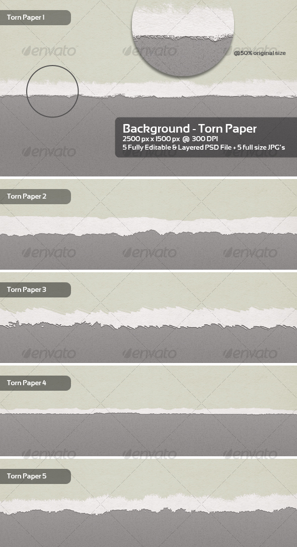 Torn Paper Backgrounds / Textures - 5 Themes - Backgrounds Graphics