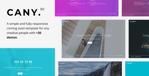 Cany - Responsive - ThemeForest 12057698